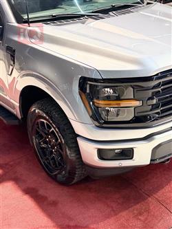 فۆرد F-150